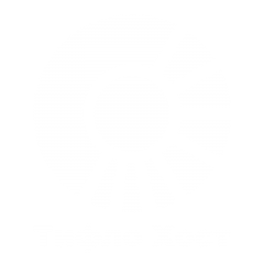 Тифло Хост